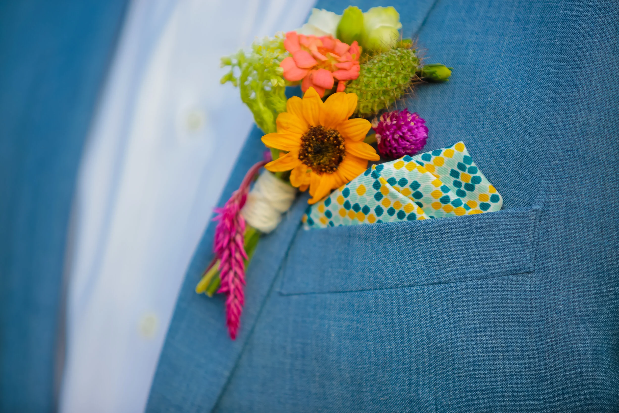 _G7A2499-2.jpg