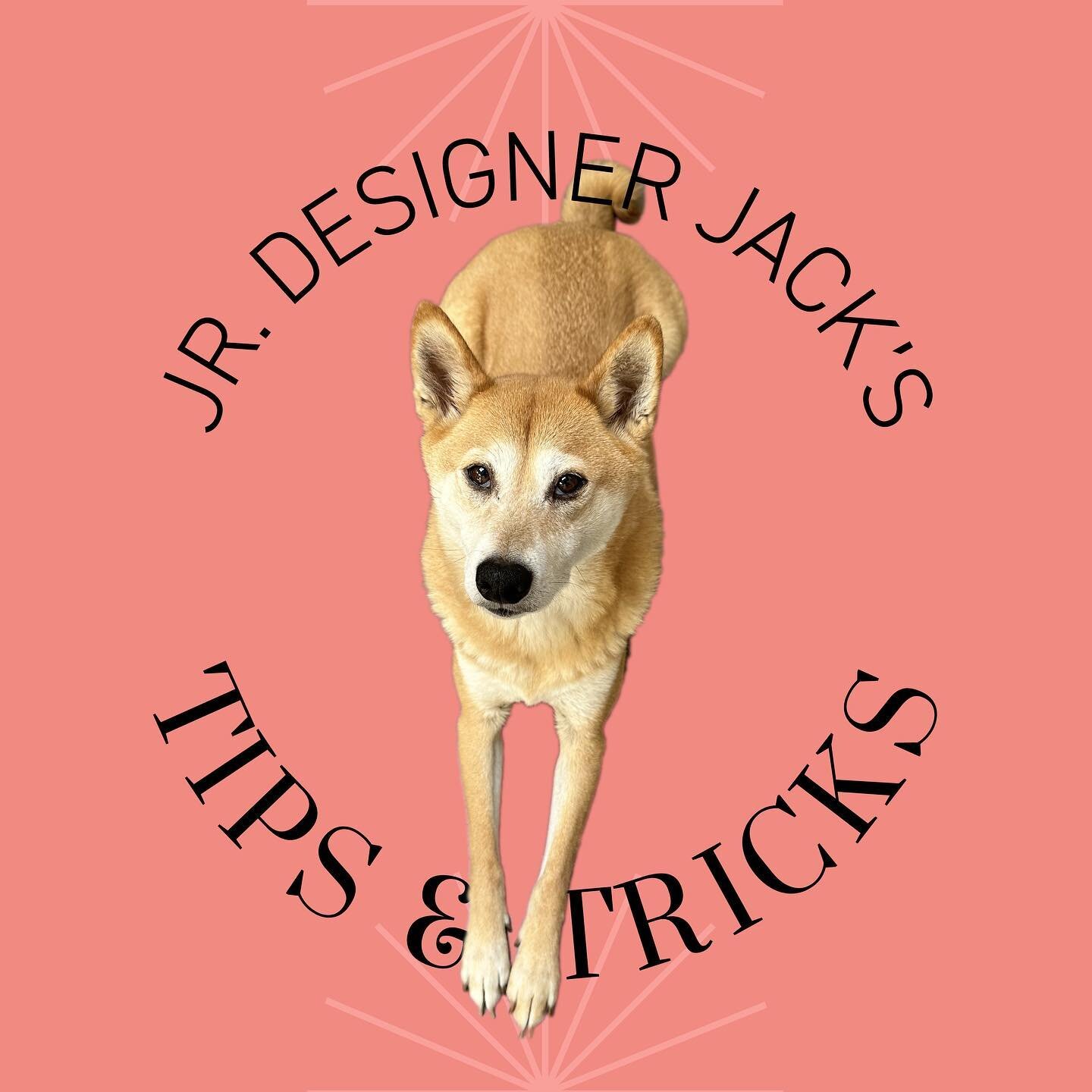 Our Jr. Designer Jack believes less is always more. Except when it comes to treats - you can never have too many treats. But in design, embracing white space can be the golden ticket to a successful message.