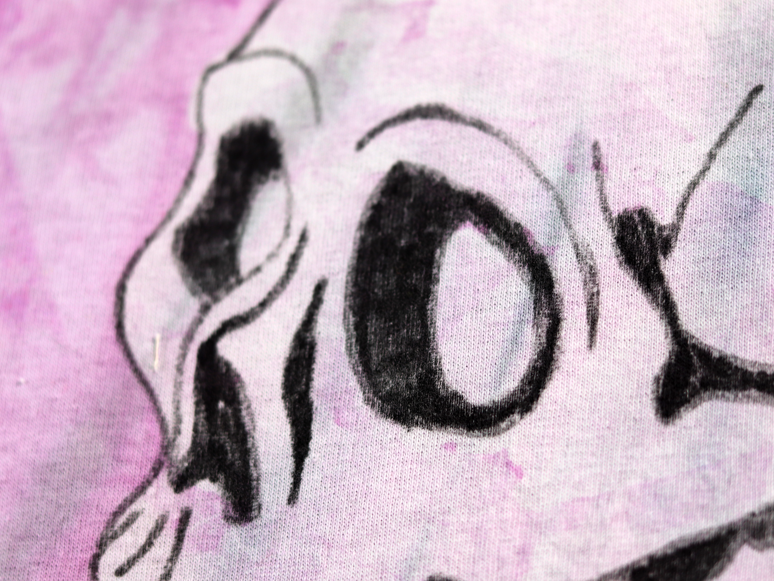 IMG_6400.png