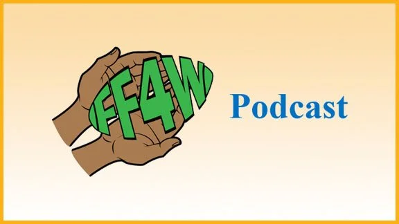 Fantasy Football for Winners Podcast