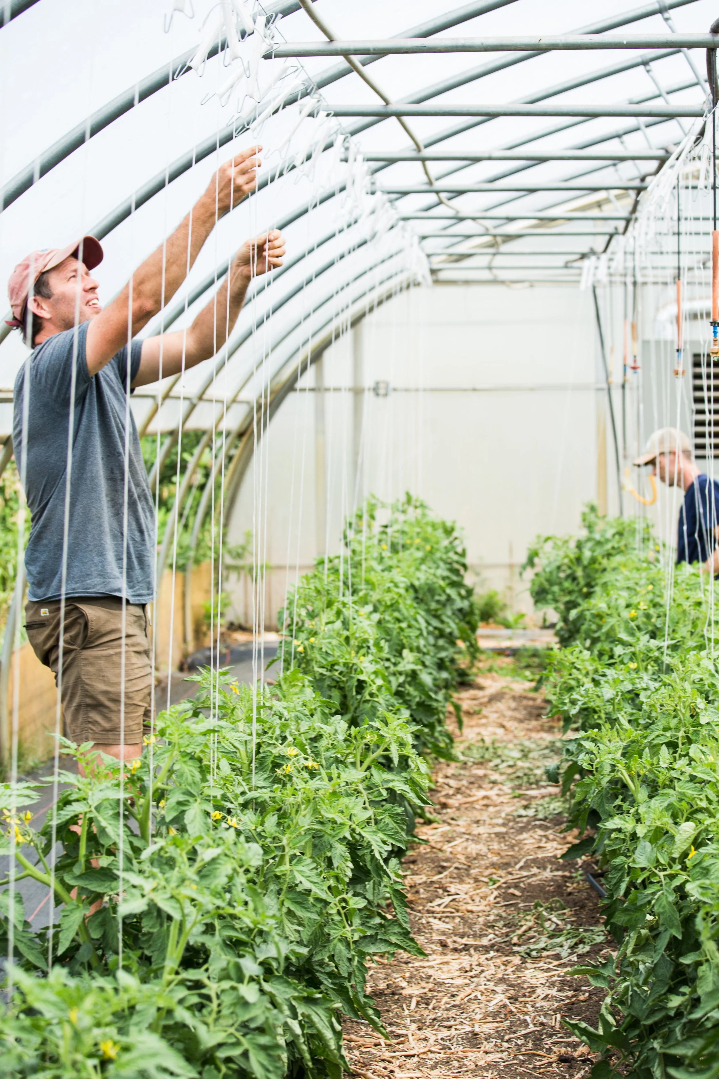 Twin Organics 2022 photos by Katie Koranda 15.jpg