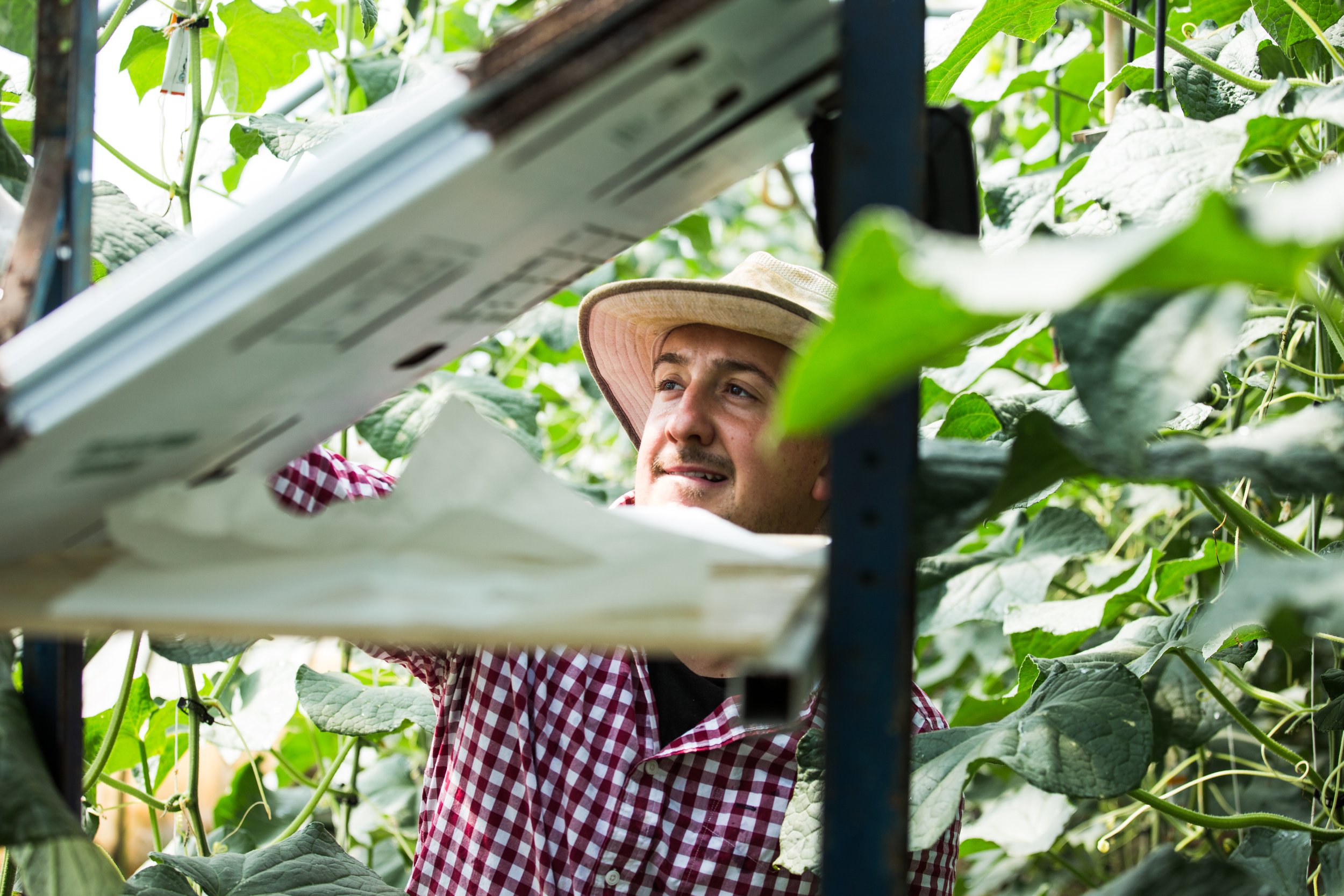 Twin Organics 2022 photos by Katie Koranda 1.jpg