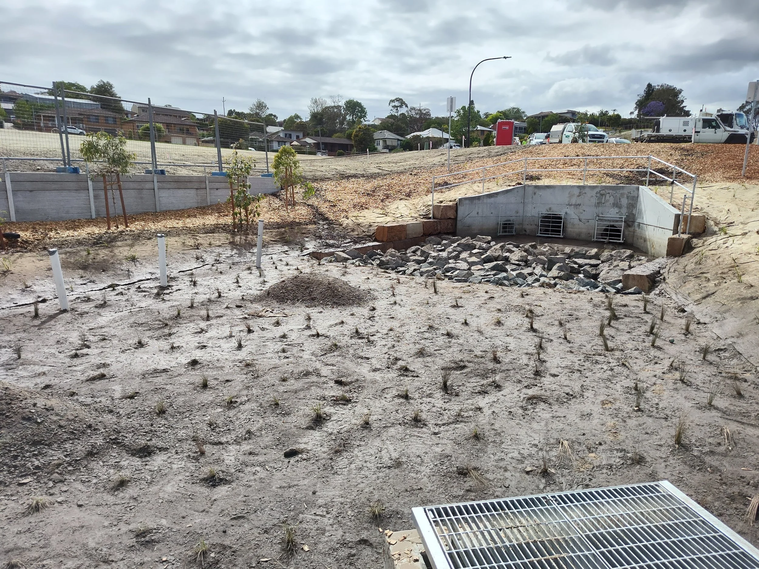 Wallis StreetIMG_20231106_092957152.jpg