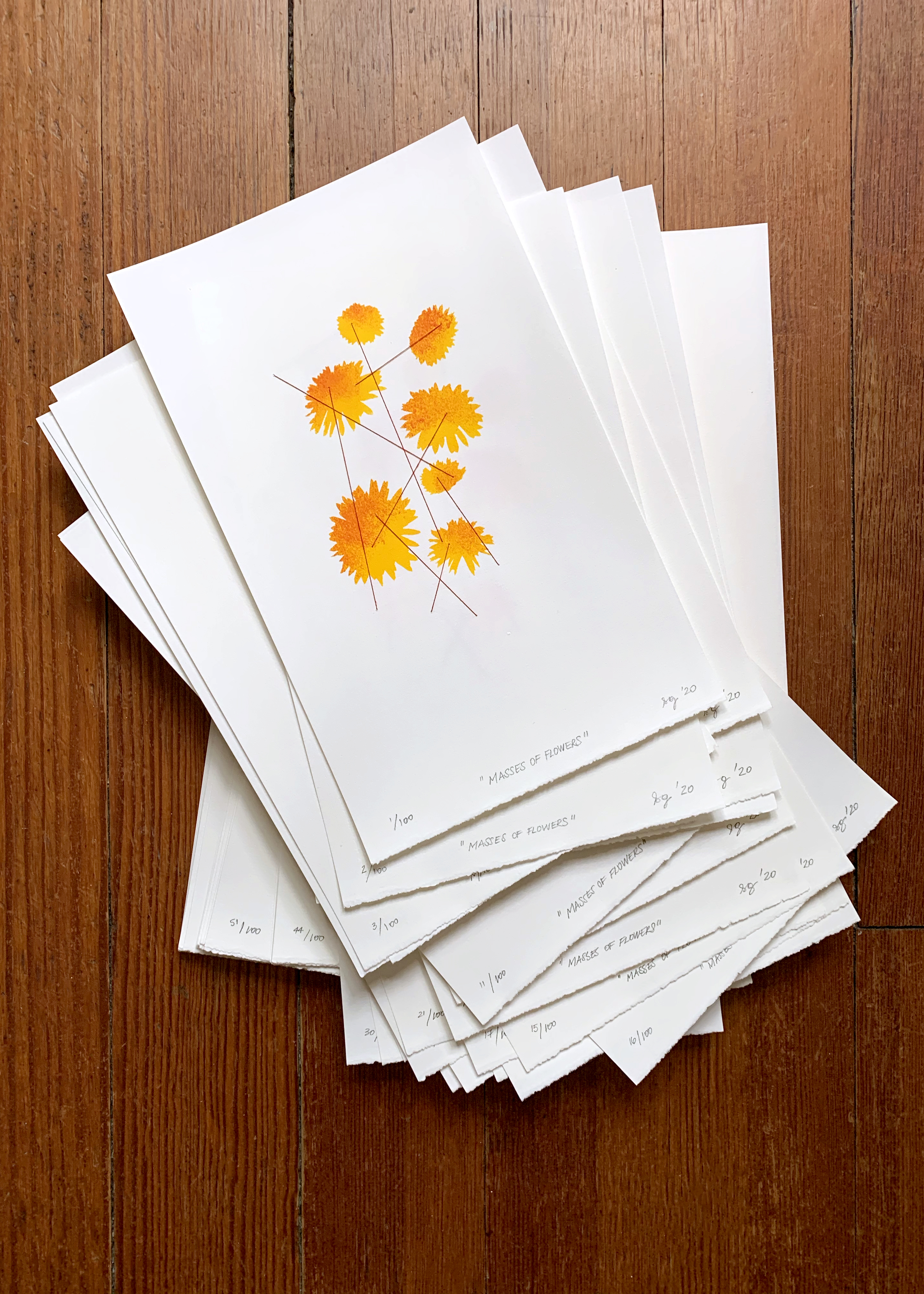 masses-of-flowers-1.png