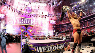 Daniel Bryan at WrestleMania 30 (WWE)