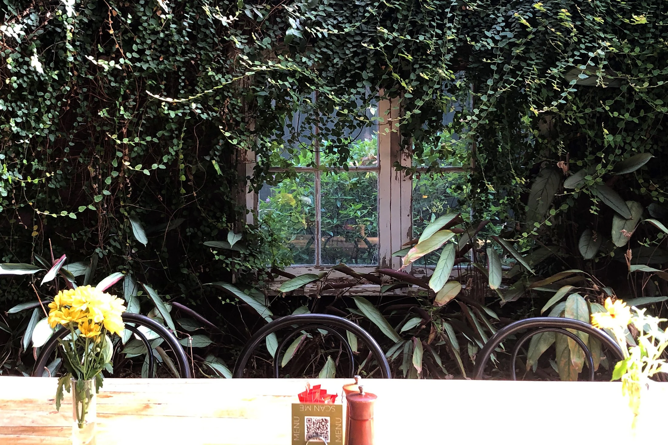 Banner image IMG_2638.jpg