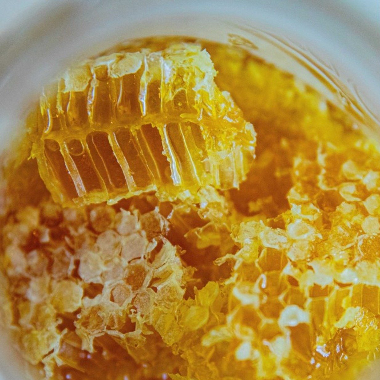 Less is More KIESELWAX and HONEYWAX both contain forest honey and beeswax. Honey adds moisture, nourishes and cares for hair and scalp. Beeswax naturally lends consistency, brings hair into shape, protects and nourishes hair and scalp.