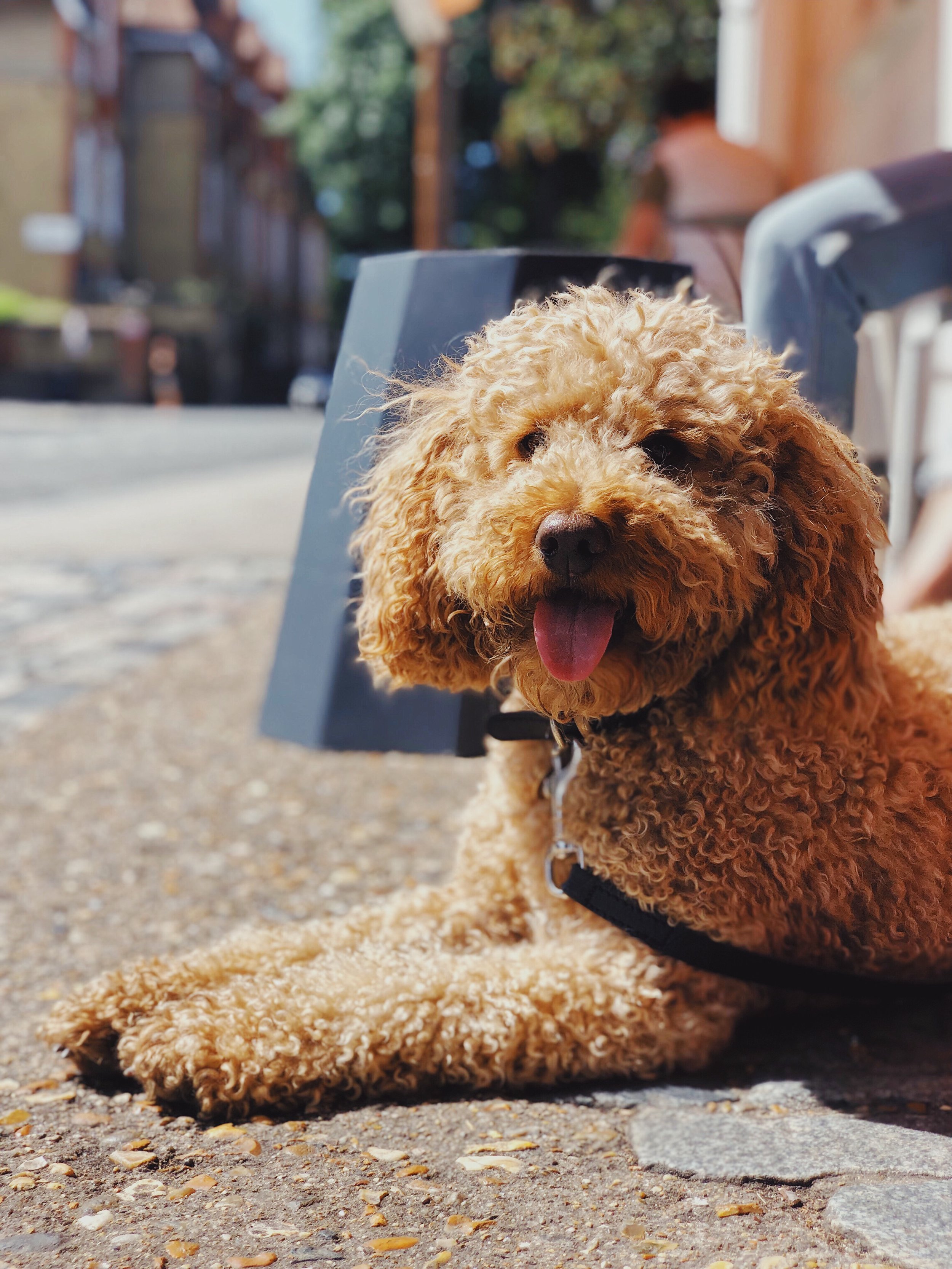 A Story About East London