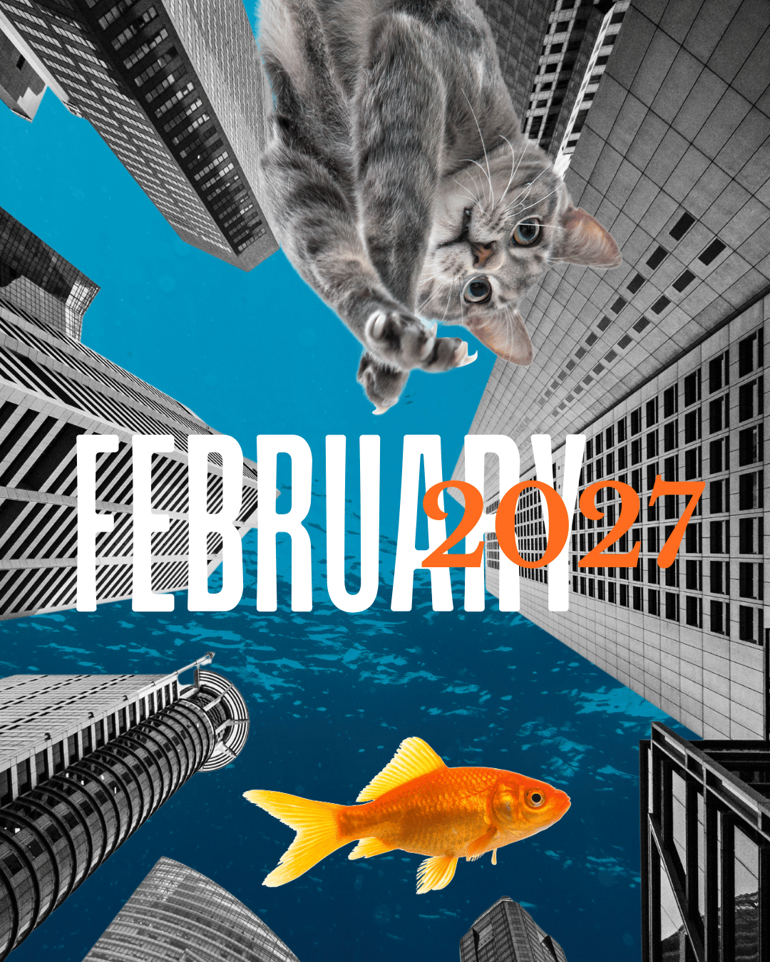 collage image contains; cat trying to catch goldfish, skyscrapers in background.