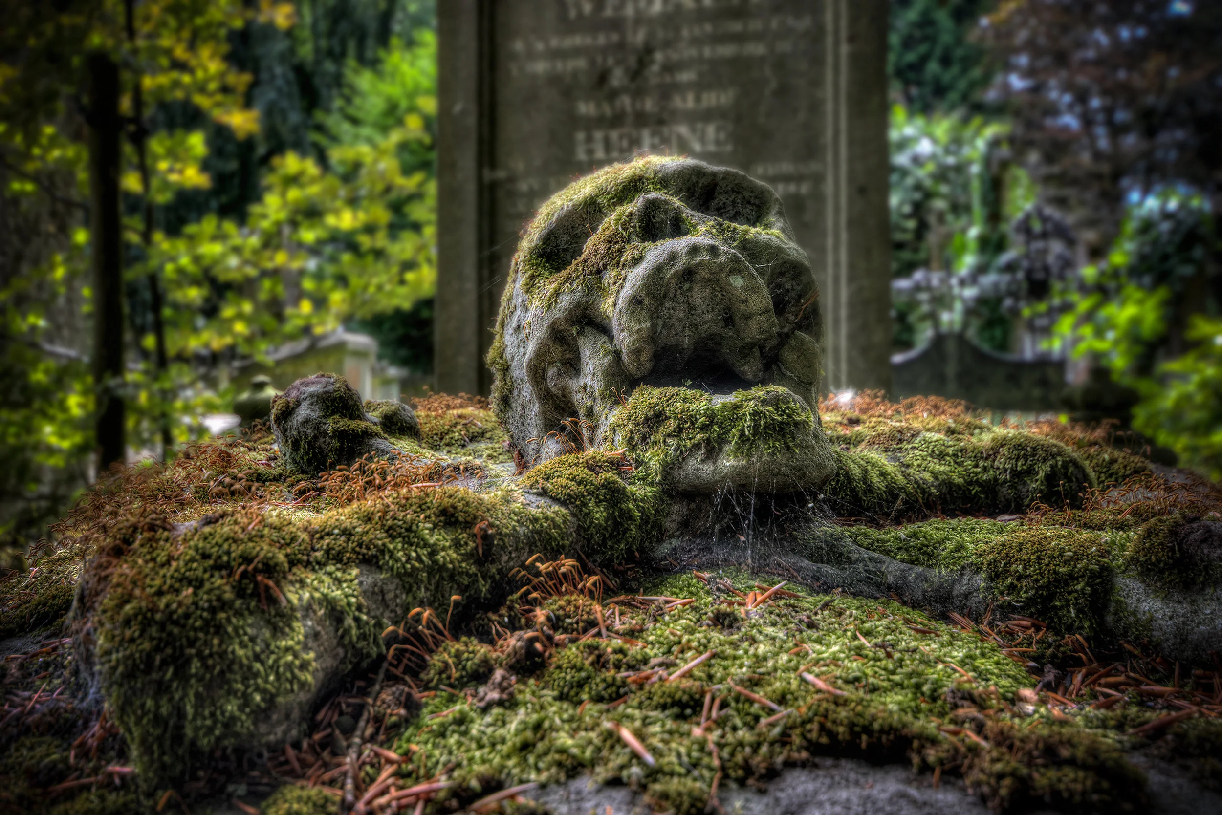 Cementary of the skull