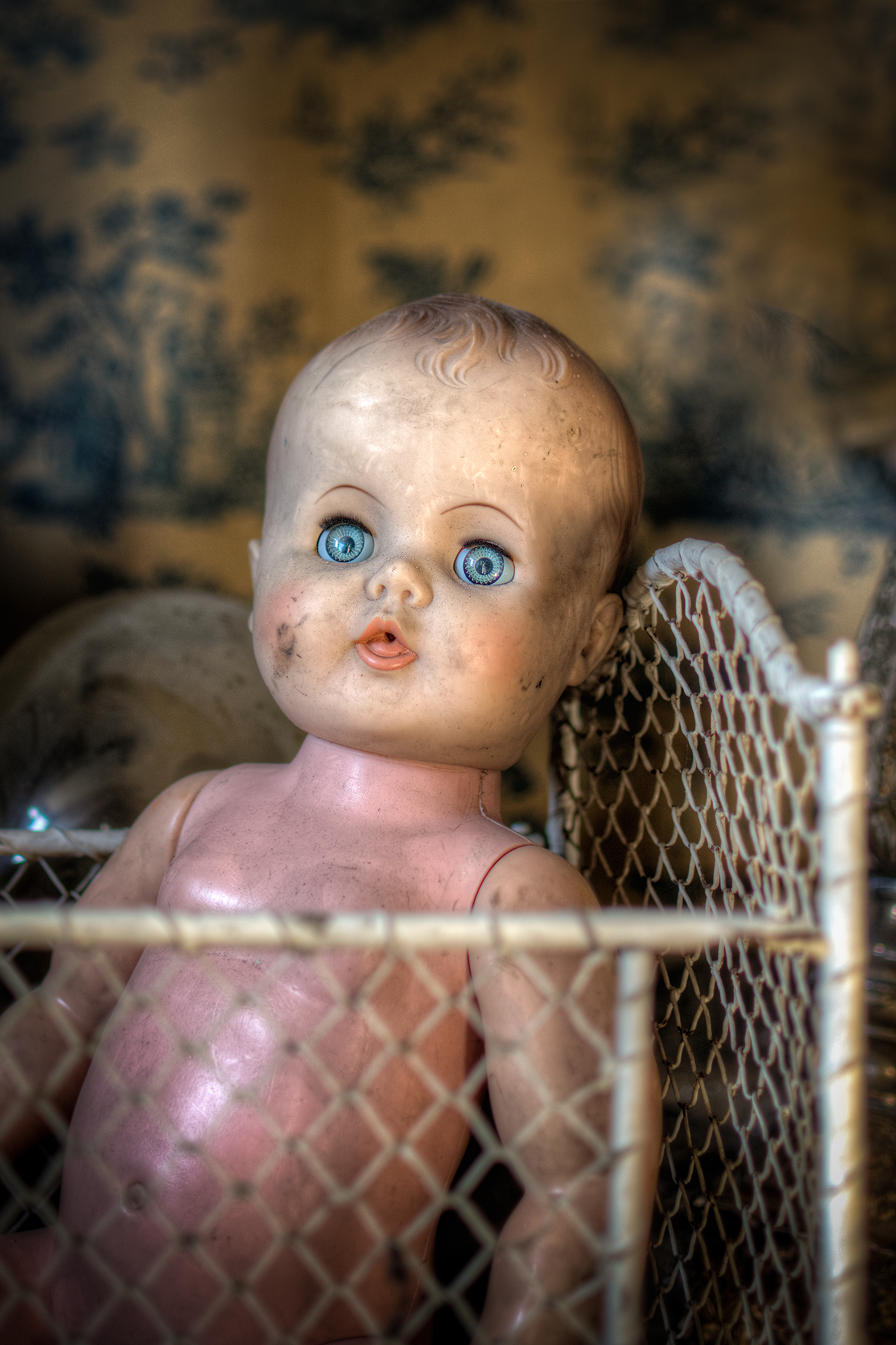 Forgotten Innocence