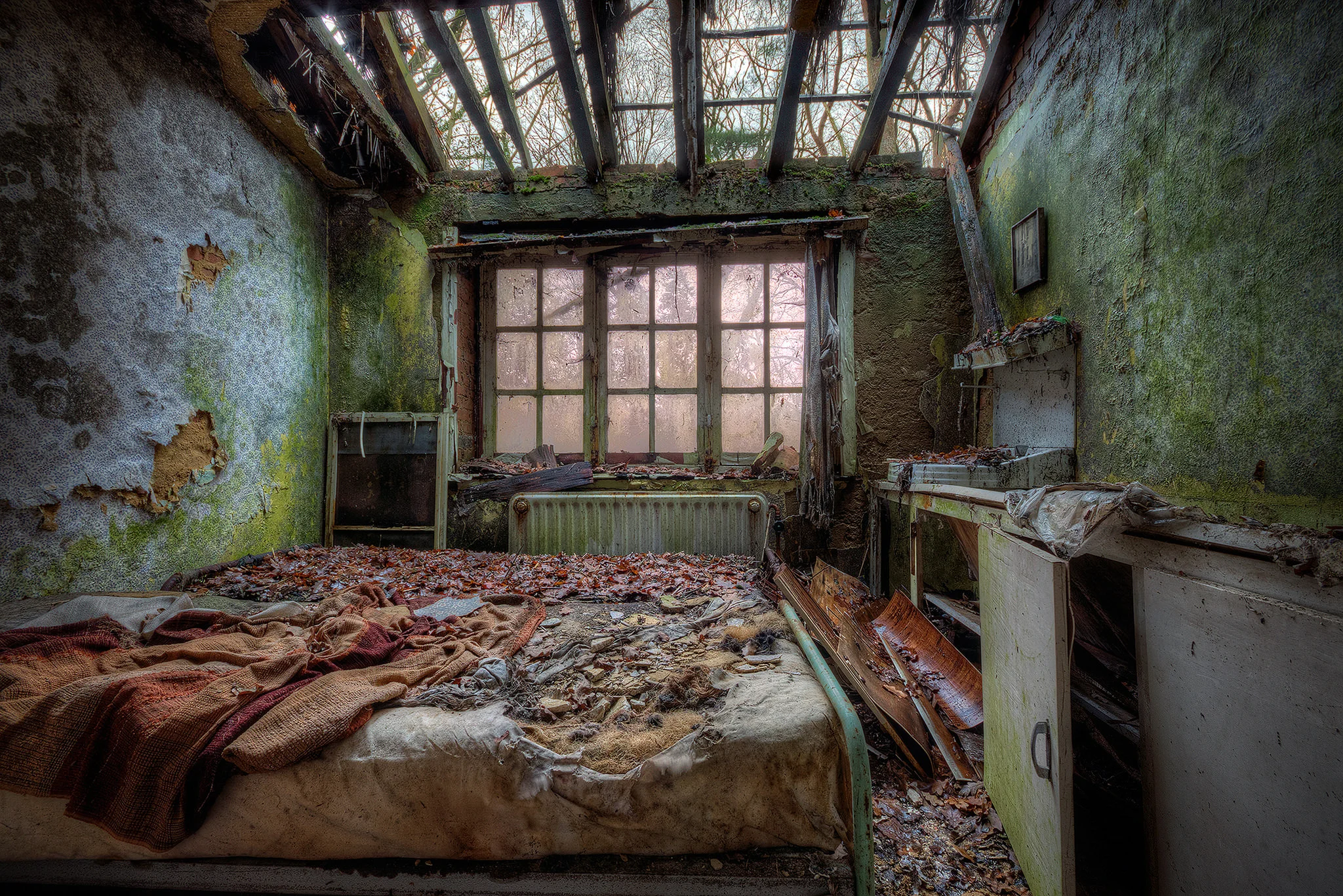 Nature Reclaims the Bedroom