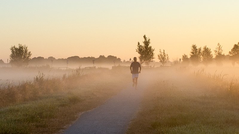 Boterhuispolder Leiderdorp ochtendzon
