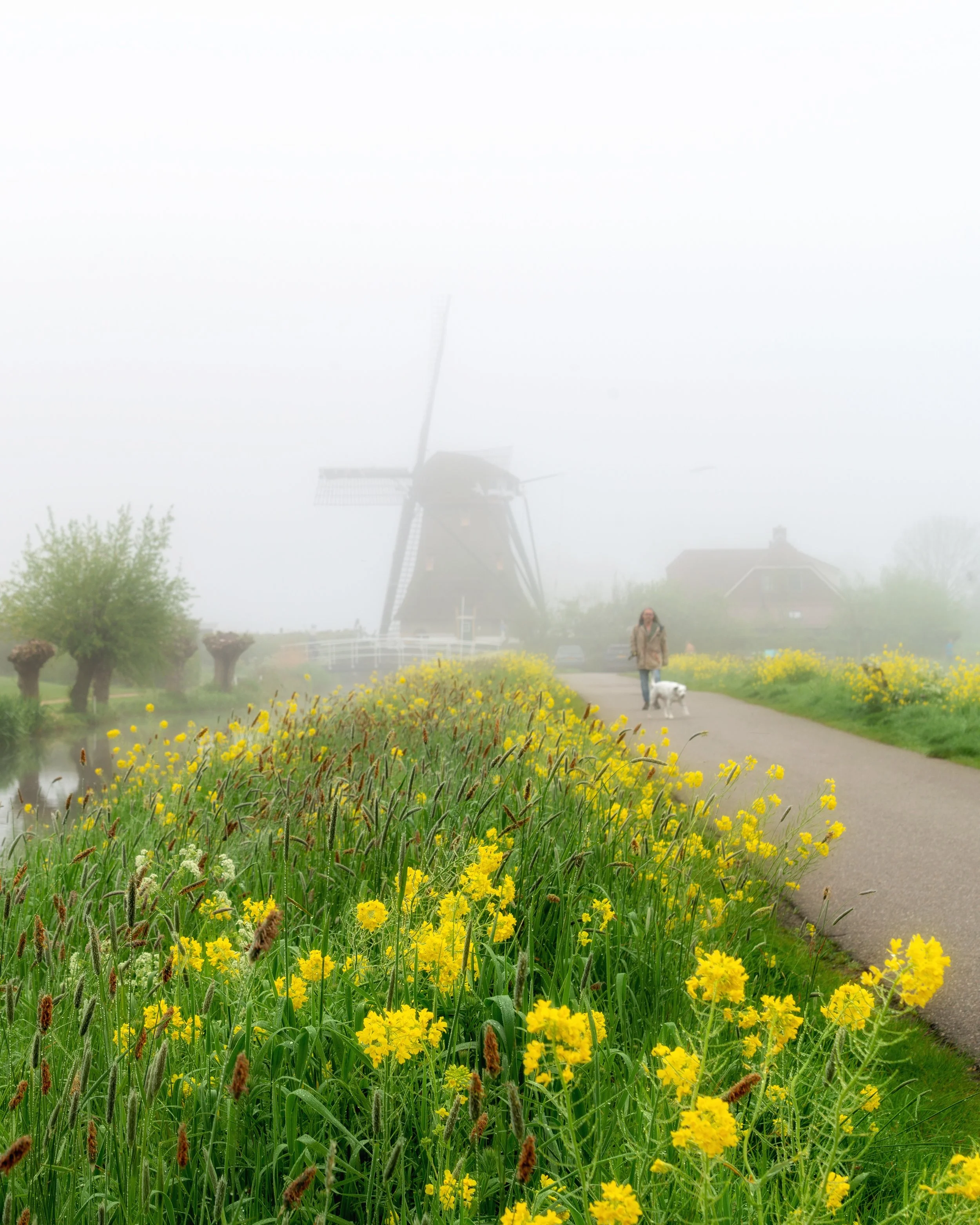 Mill in the foggy morning
