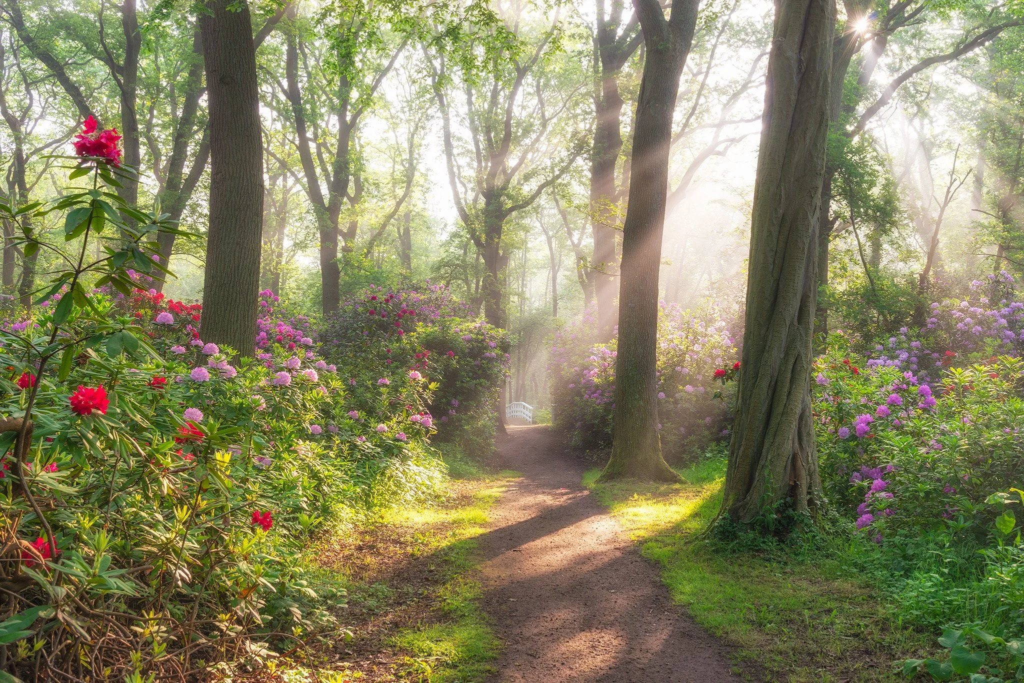 Clingendael in Bloom