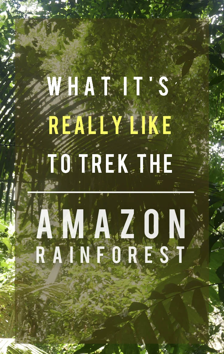 What It's Really Like to Trek the Amazon Rainforest.jpg