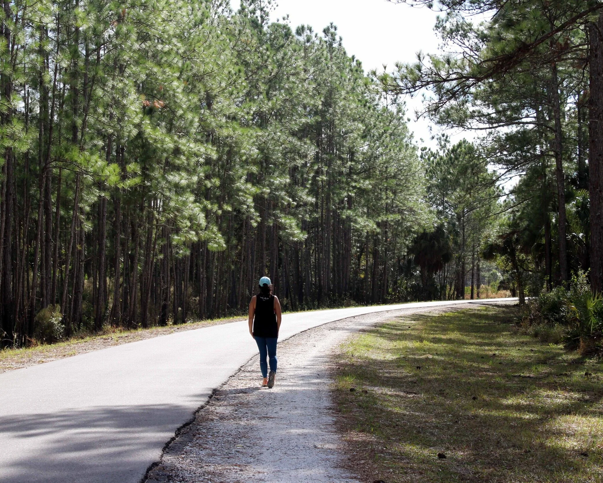 A Year of Slower Travel (Or Reflections on 2019) 