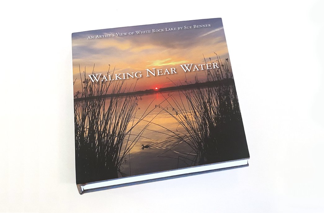 WalkingNearWater_cover_loRes-W.jpg