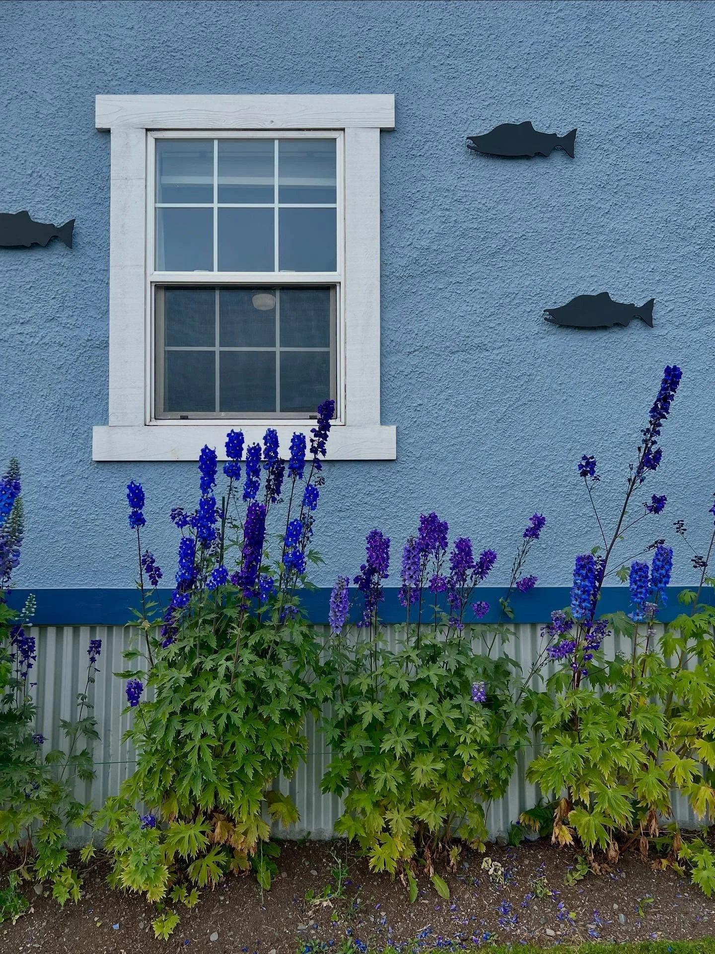 Seward, Alaska
