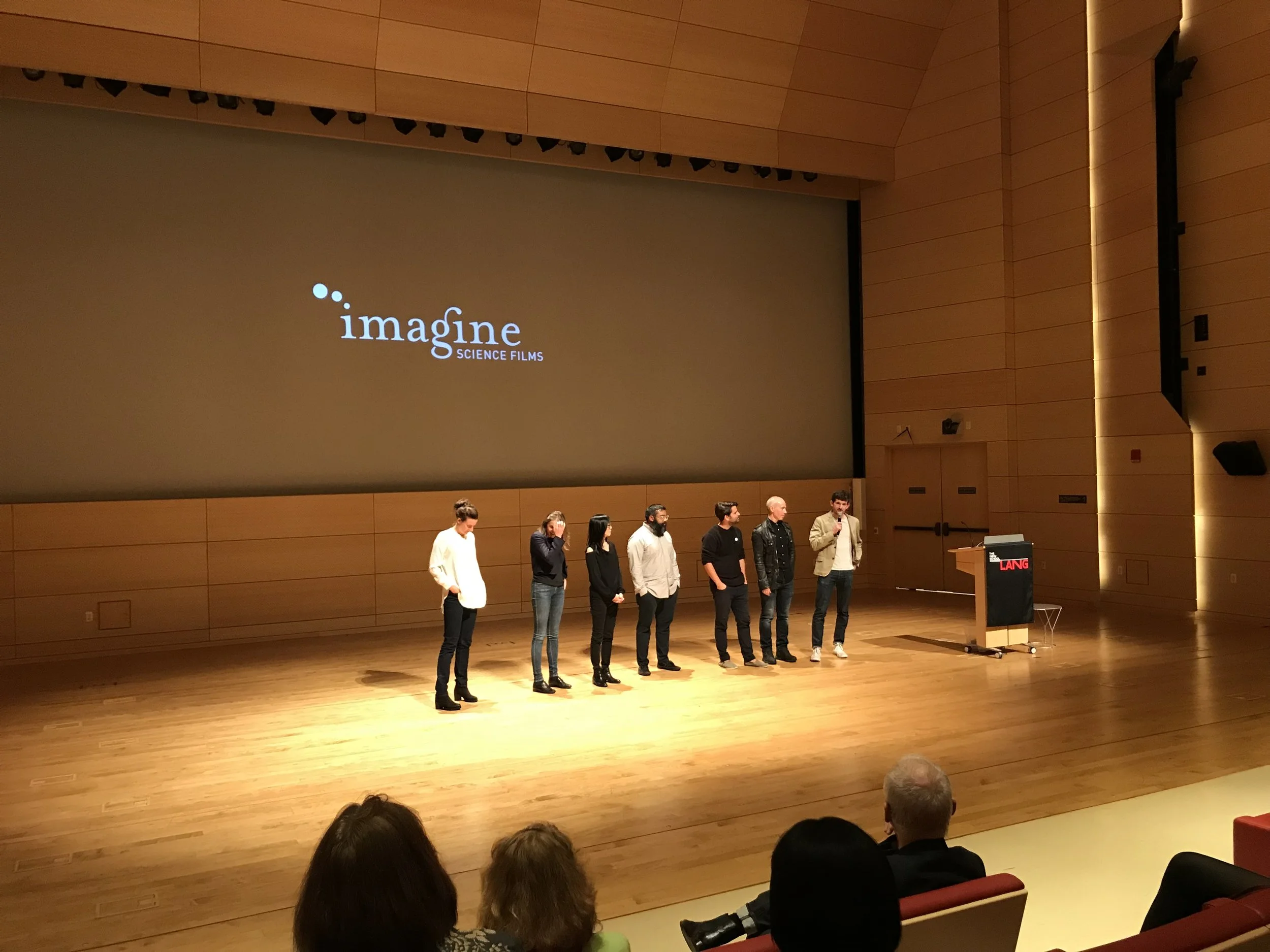 ISFFChimera_NewSchool2017_2519.jpg