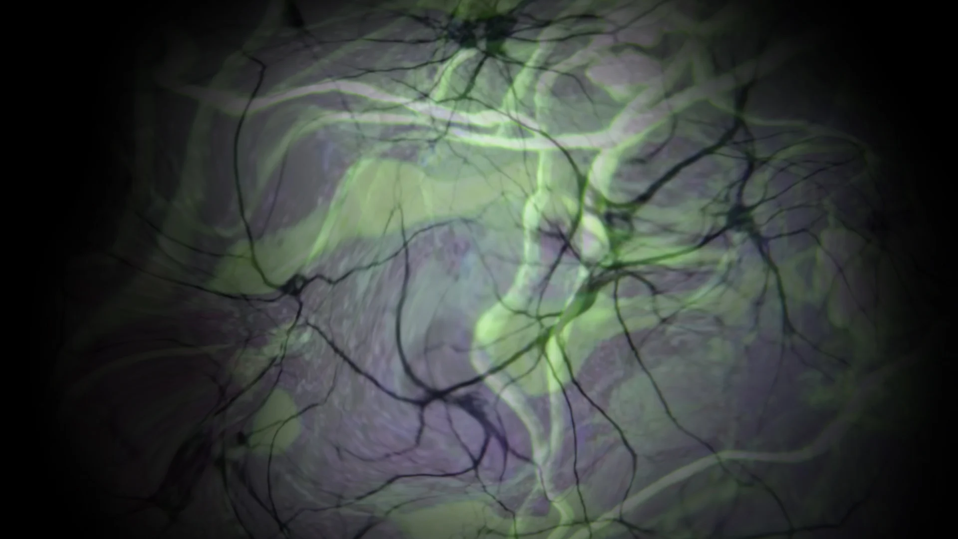 Neurons.jpg