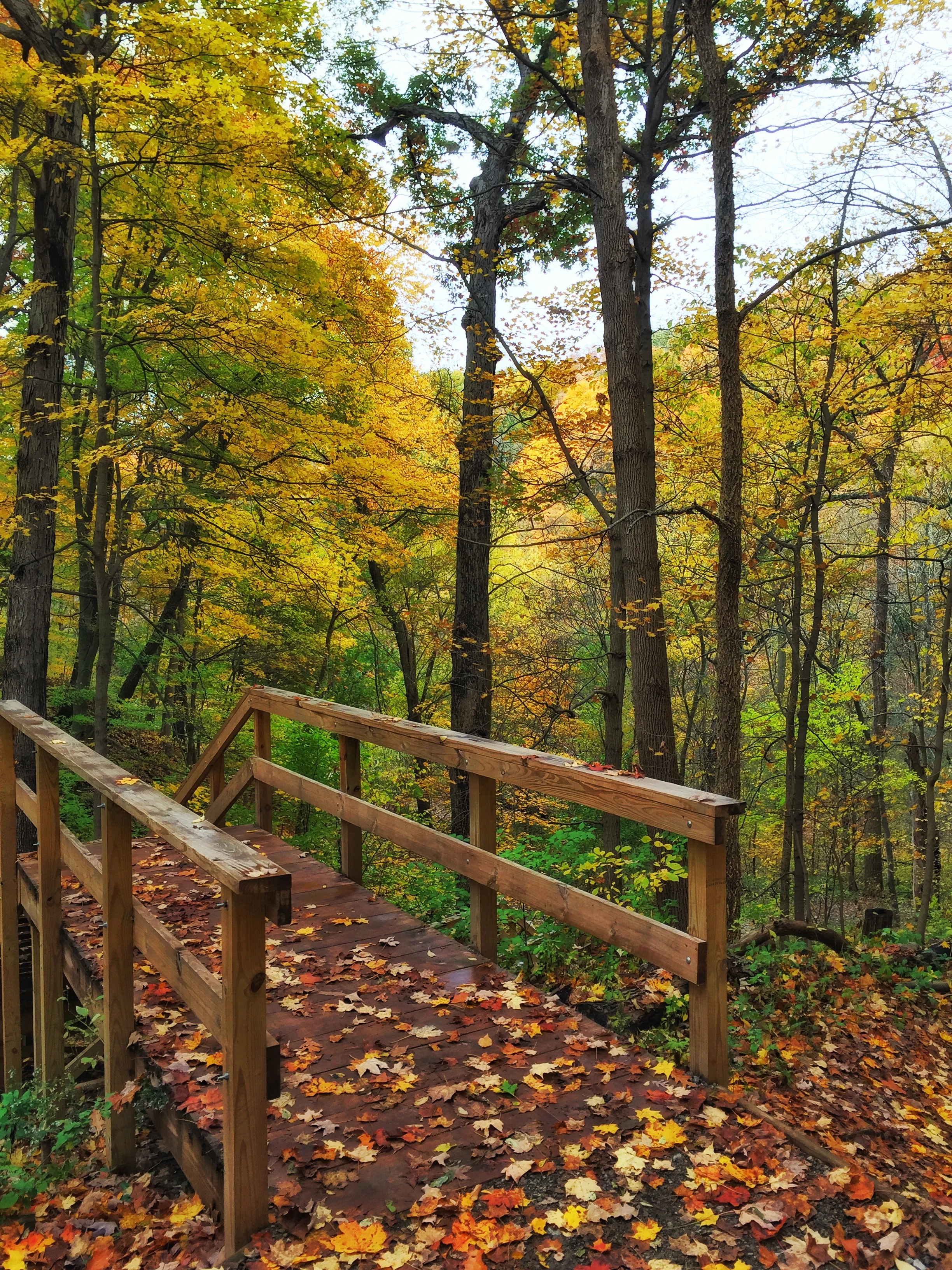 Frick Park