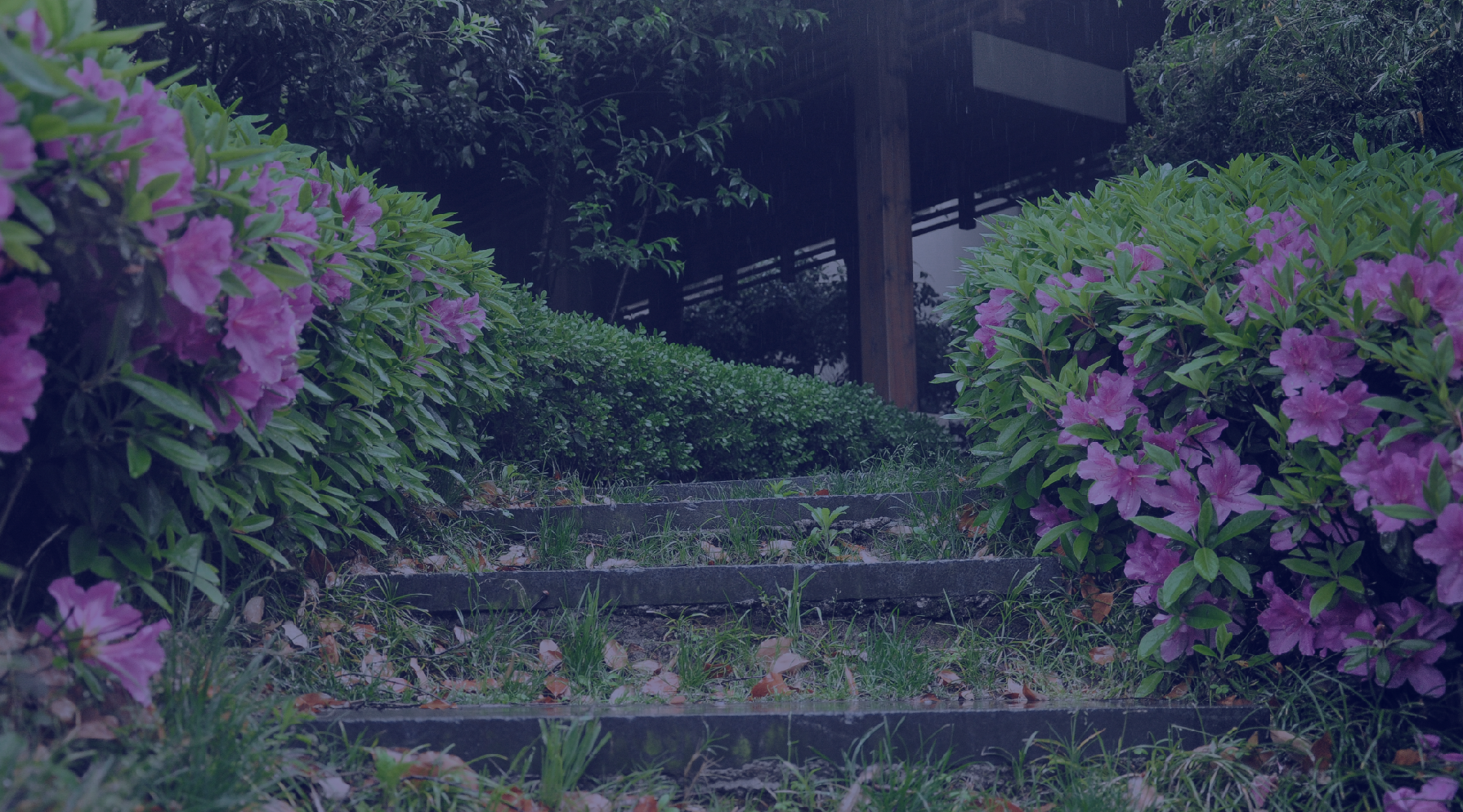 Screen Shot 2017-06-28 at 12.41.02 PM.png