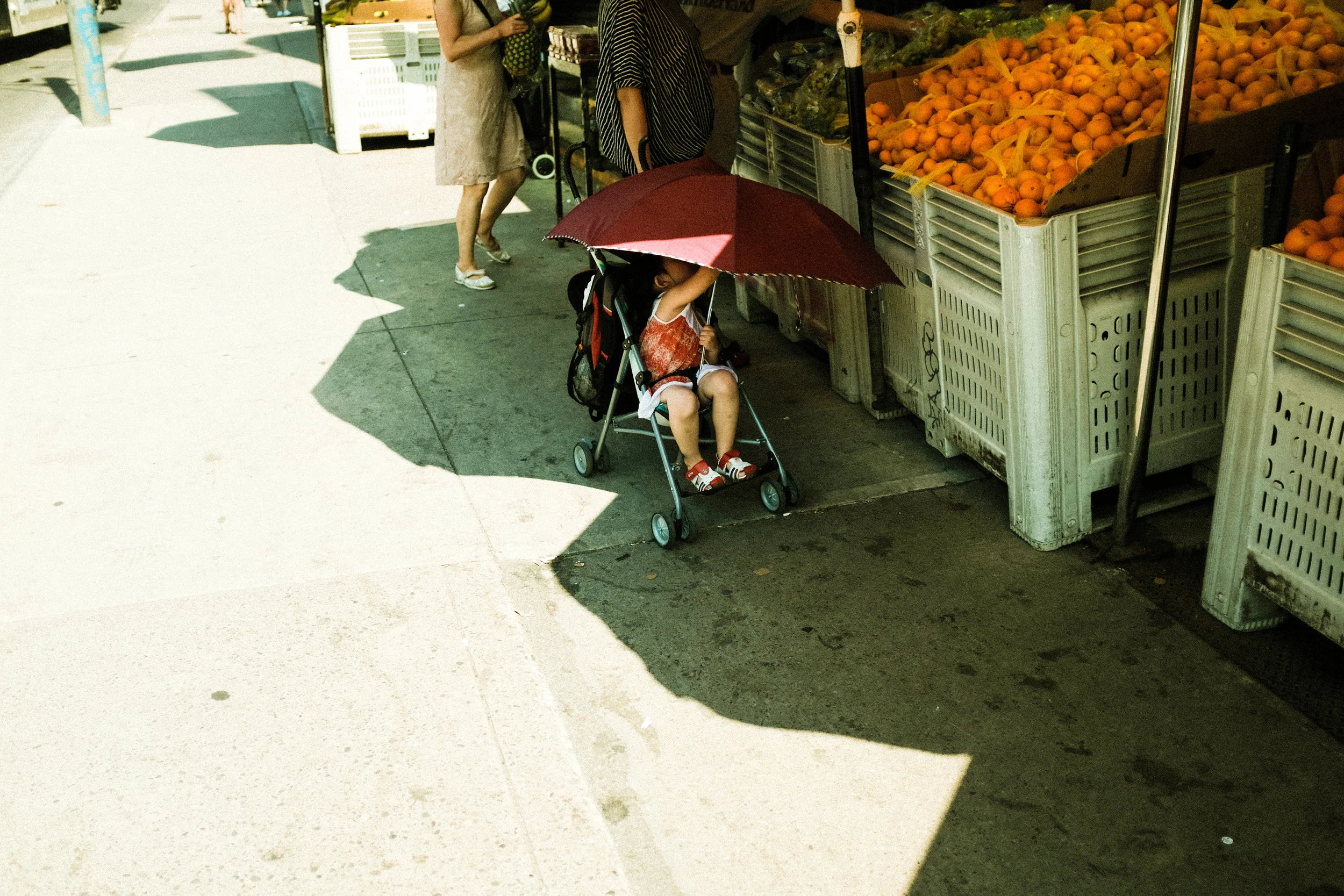 DSCF8889.jpg