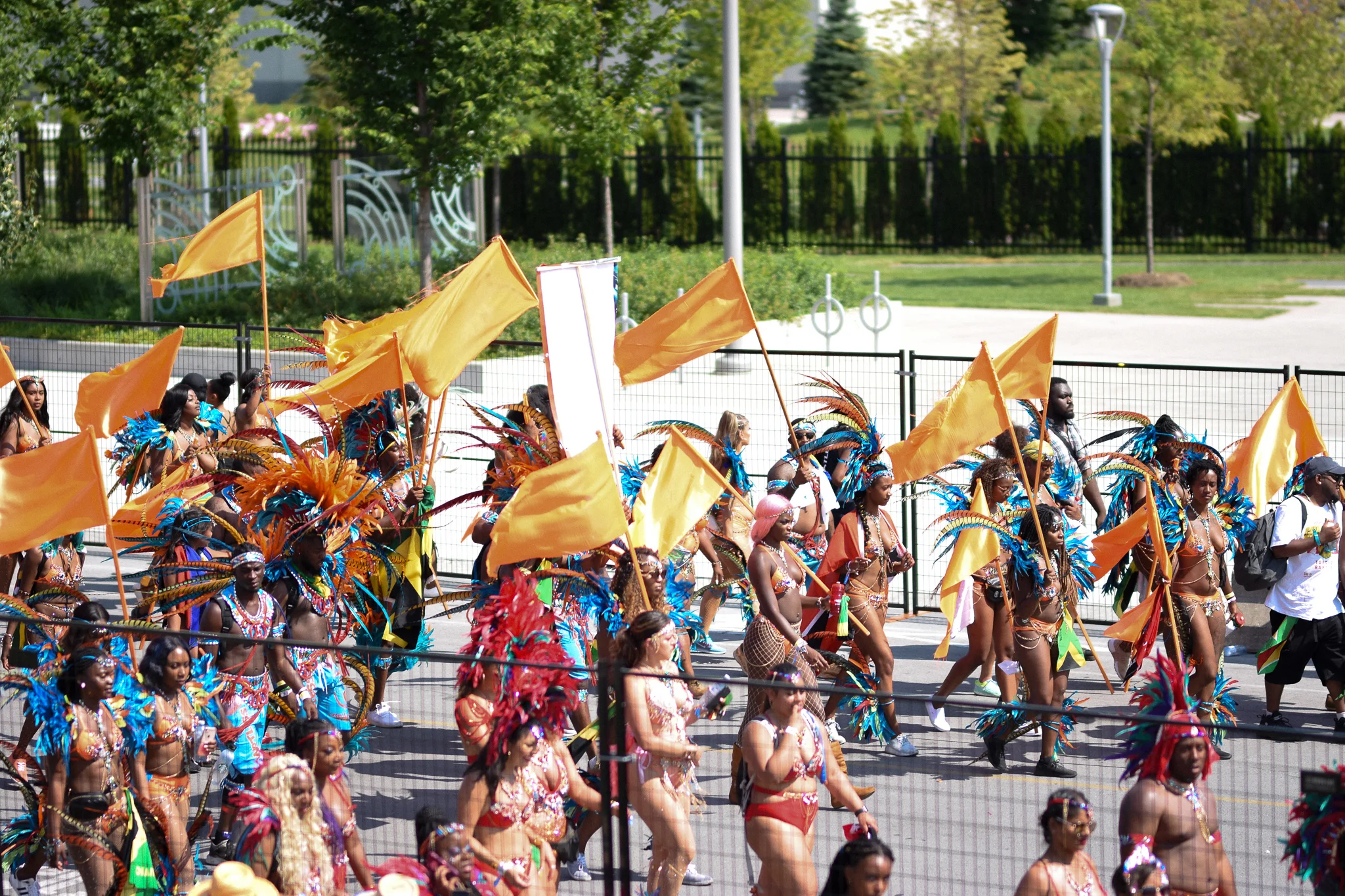DSC_6535.jpg