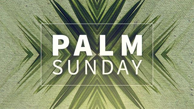 Mark 11:1-10
“Save us, Lord, save us!”
“Hosanna in the Highest”
“Son of David — Son of God, do what you have come to do!”
.
.
The cries of the people echoed the palm laid streets as the crowds created a parade for the peasant son on a donkey colt. Hopes are high. Change is brewing. This is the scene of Palm Sunday.
But Jesus is coming on his terms to do his Father’s work. The shouts of celebration of Palm Sunday will soon turn into cries of “Crucify Him”. Today as we celebrate Palm Sunday, let us remember our savior — or Hosanna. The one who saved us. The one who changed us. May we honor him today. May we praise him this week. May we trust his way and lay down our way. For our King is to be crucified. Our Lord asks us to lay our life down as well.