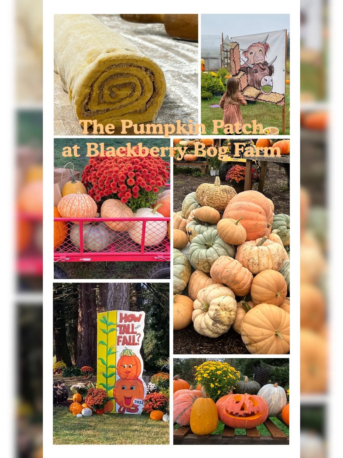 Variety of Things.JPG