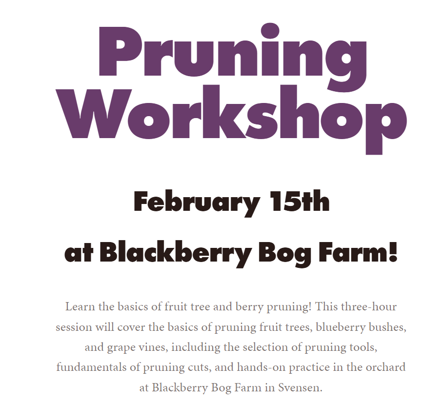 Pruning Workshop.png