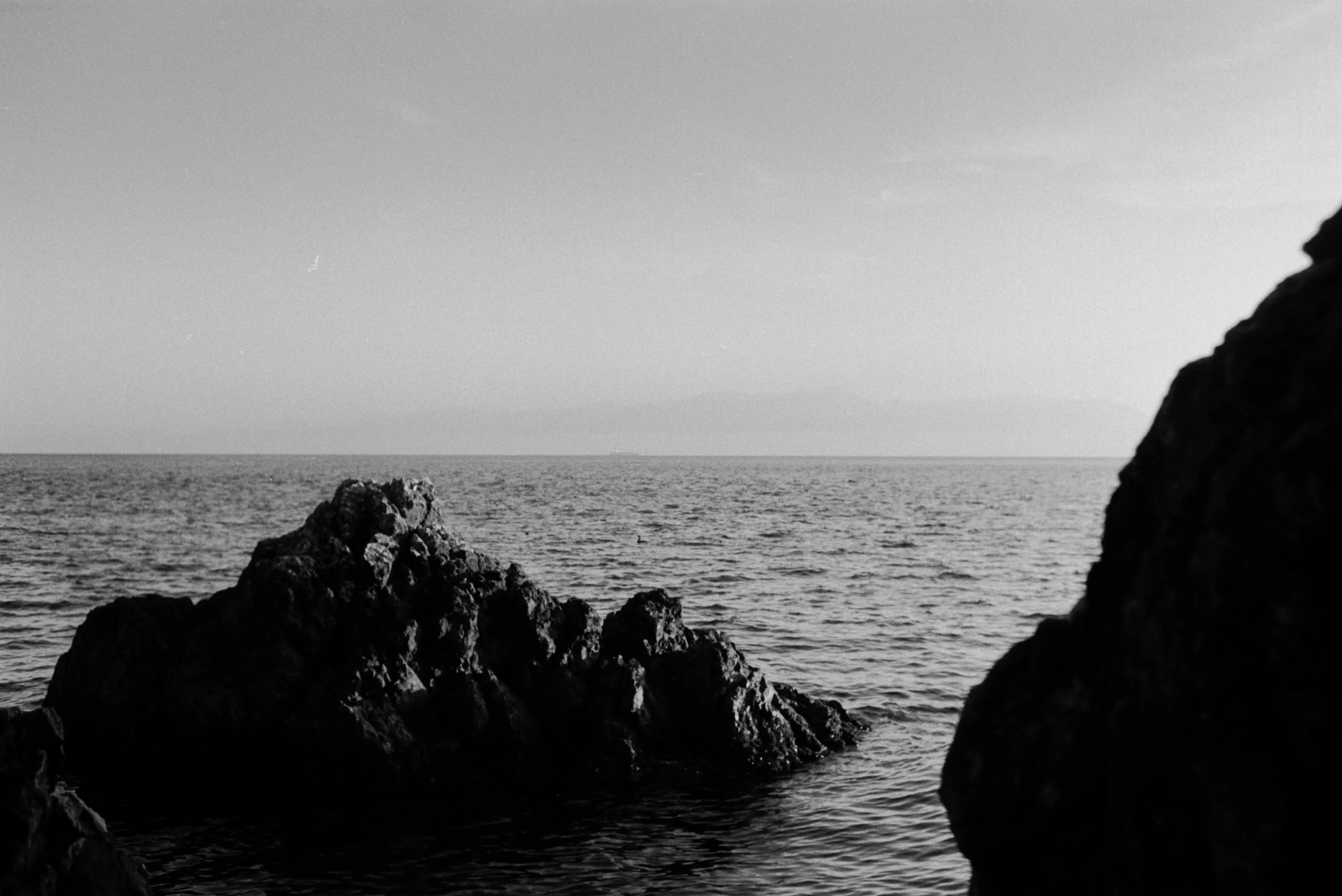 dec17edited-2.jpg