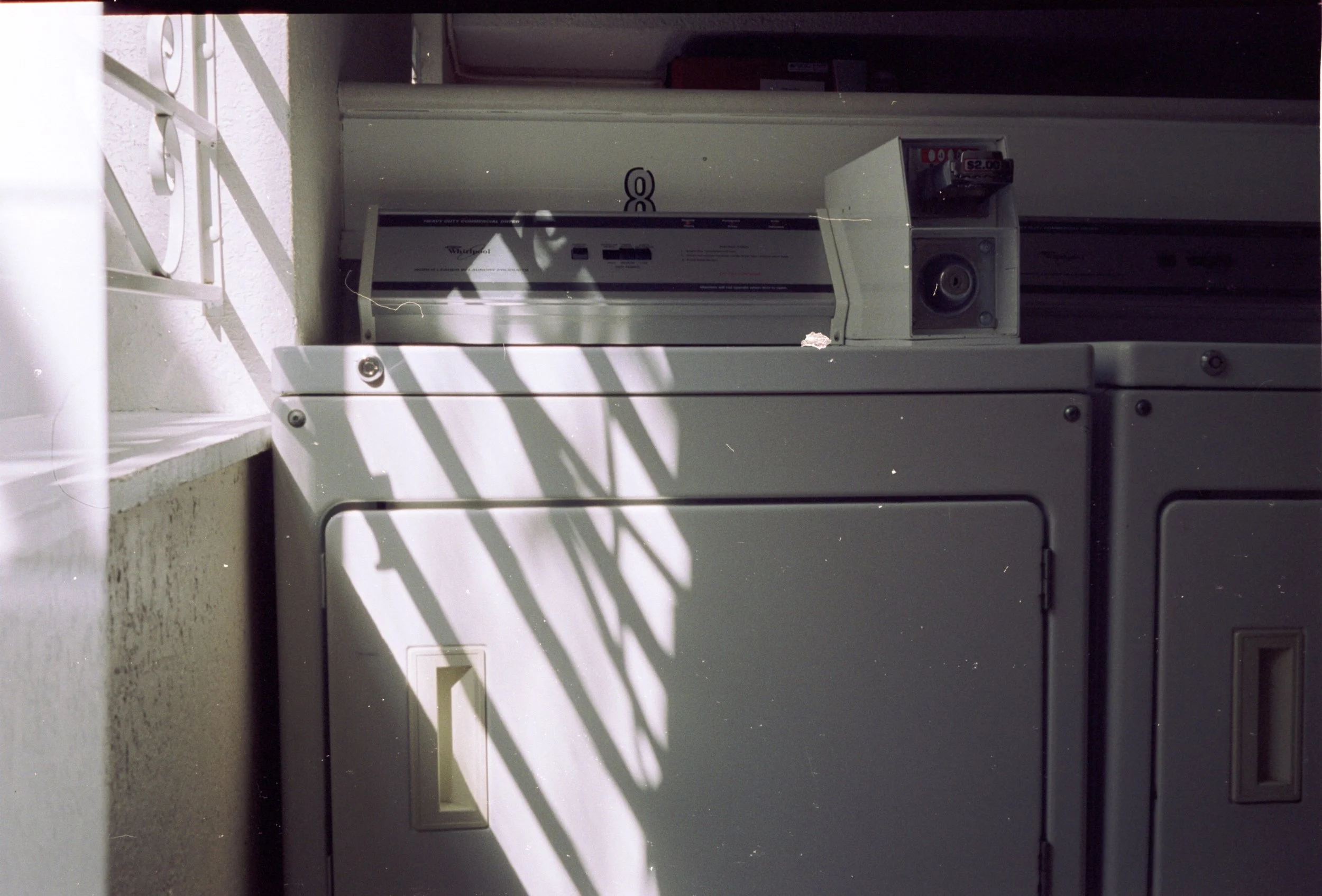 1st roll (25).jpg
