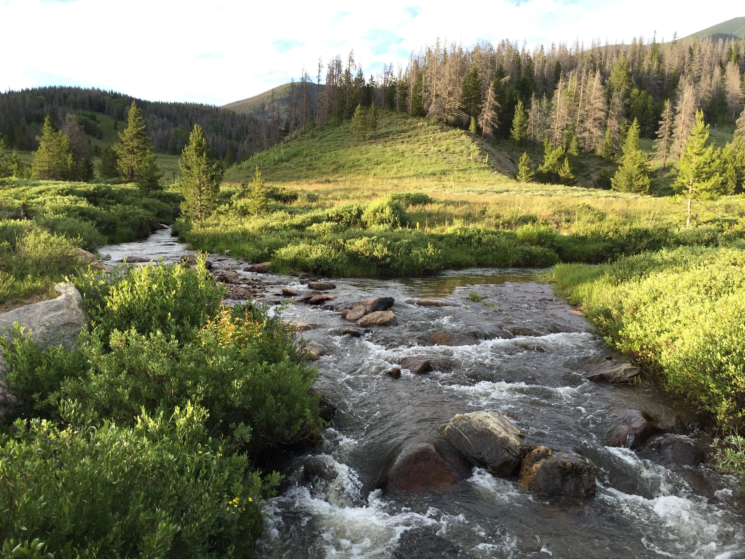 Bill Creek meets Willow Creek at a juncture often noted as a sacred place by the Ute Indians. Both flow year round. 