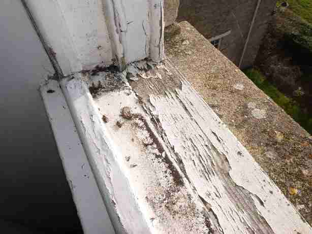 peeling paint_Marshalls Oxfordshire and Berkshire.png