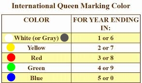 Queen Bee Colour Chart