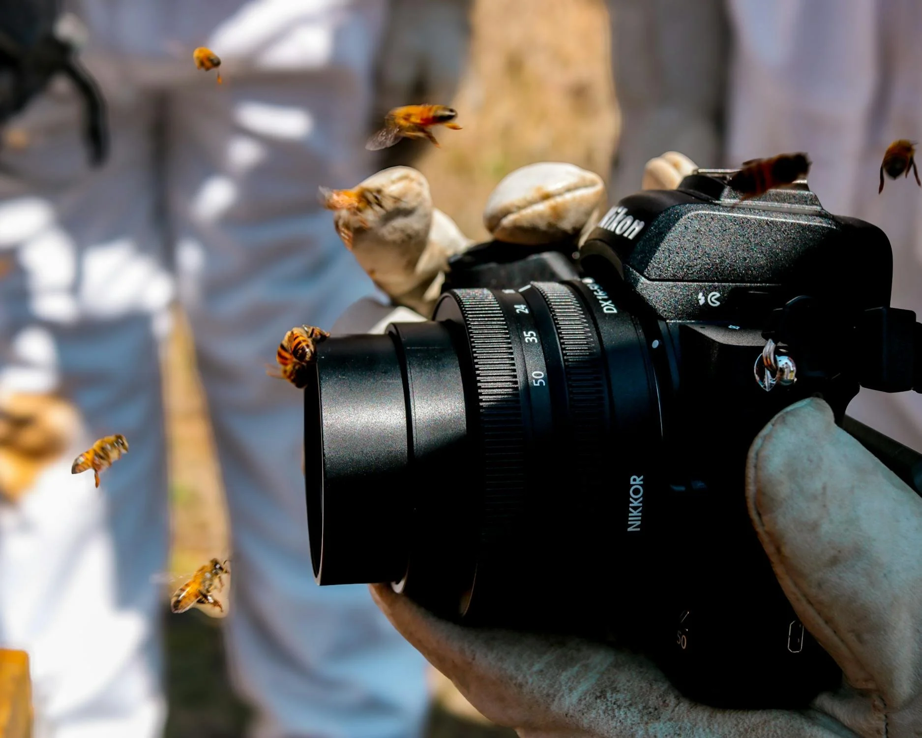 free-photo-of-beekeeper-with-camera-and-bees.jpeg