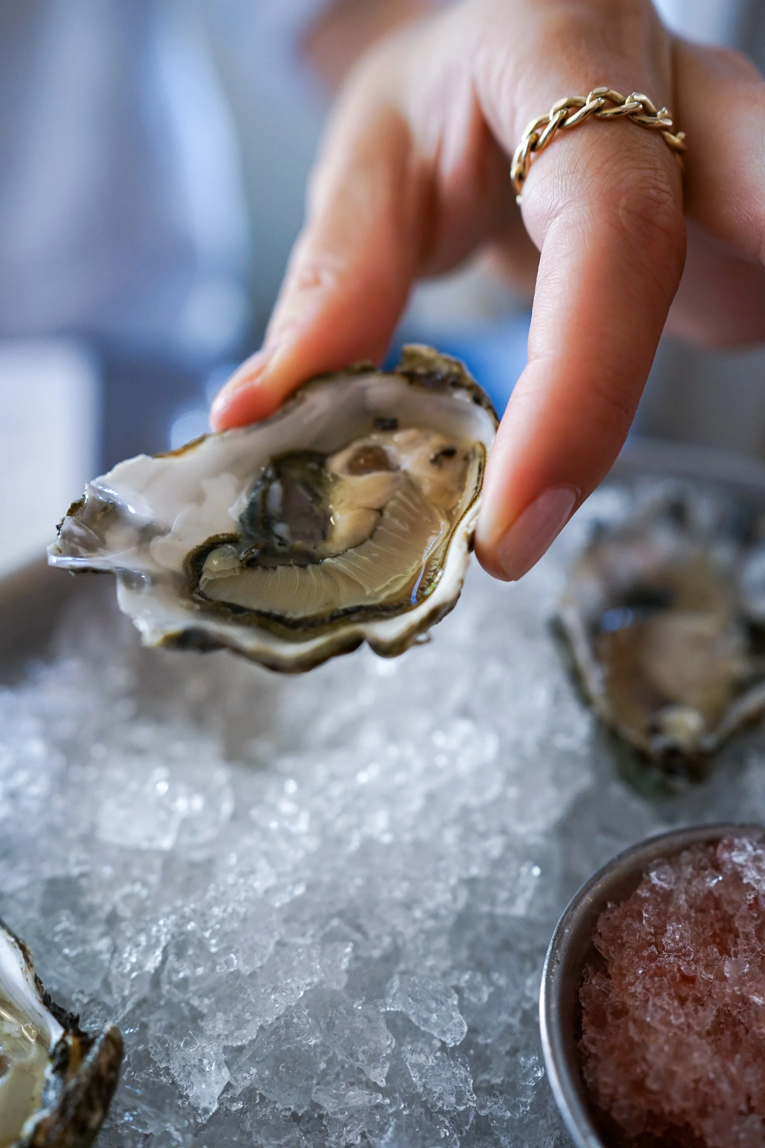 Edmonds Oyster Fest — Feedme Hospitality & Restaurant Group