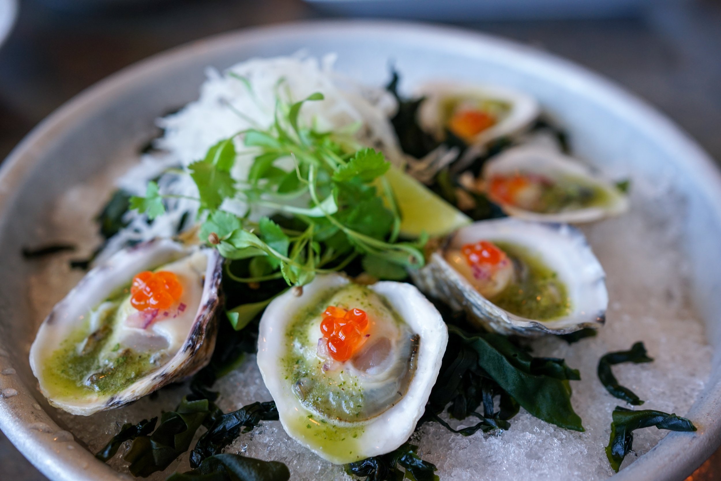 Edmonds Oyster Fest — Feedme Hospitality & Restaurant Group