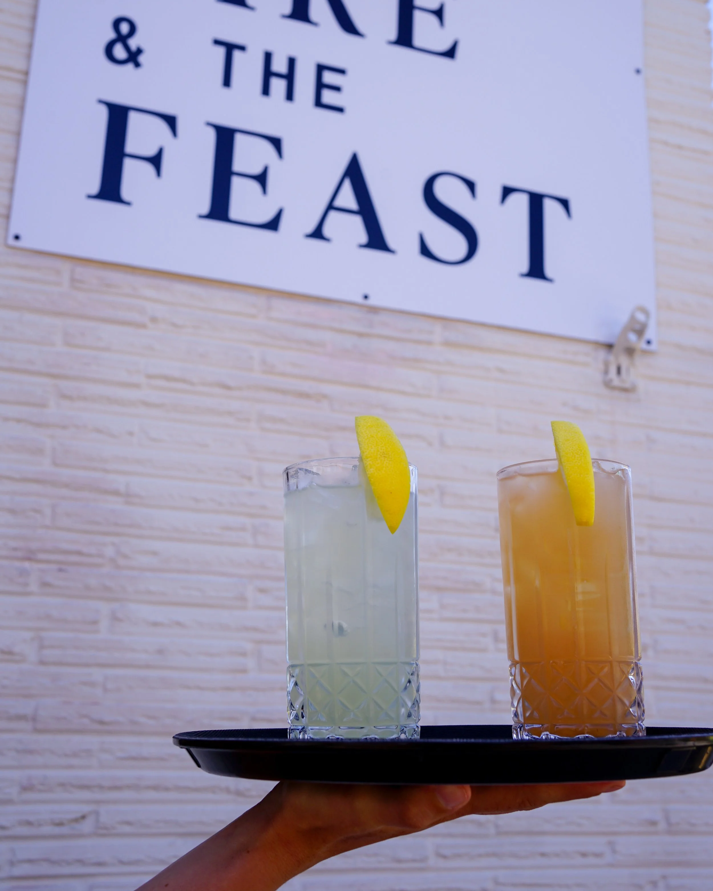 Fifth Annual Lemonade Fundraiser