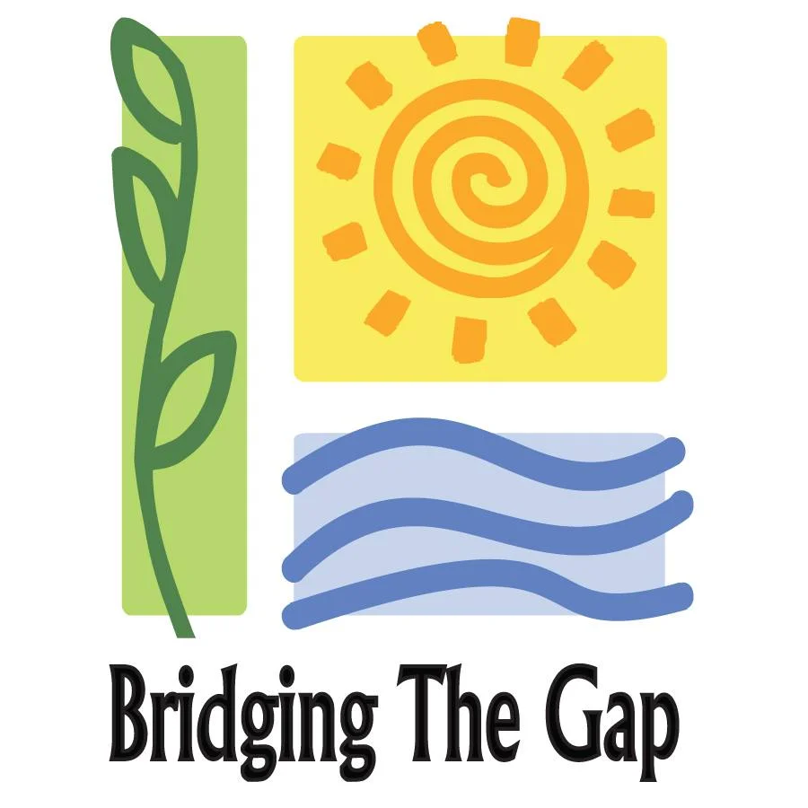 BridgingTheGap.jpg