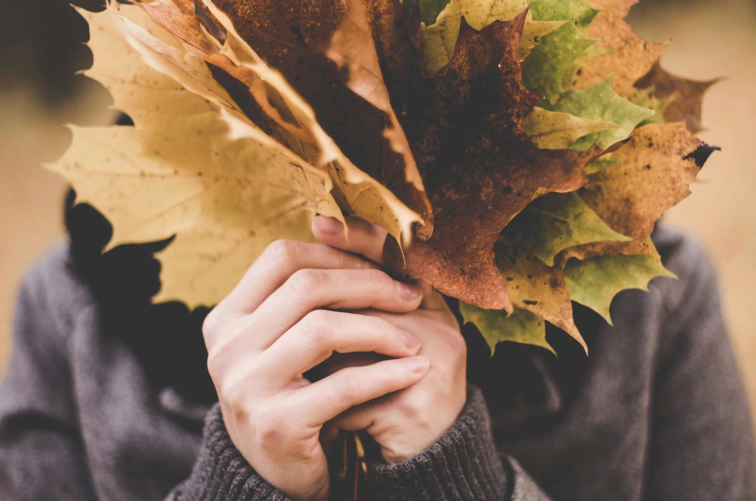 Fall_Photography_Kansas_City.jpg
