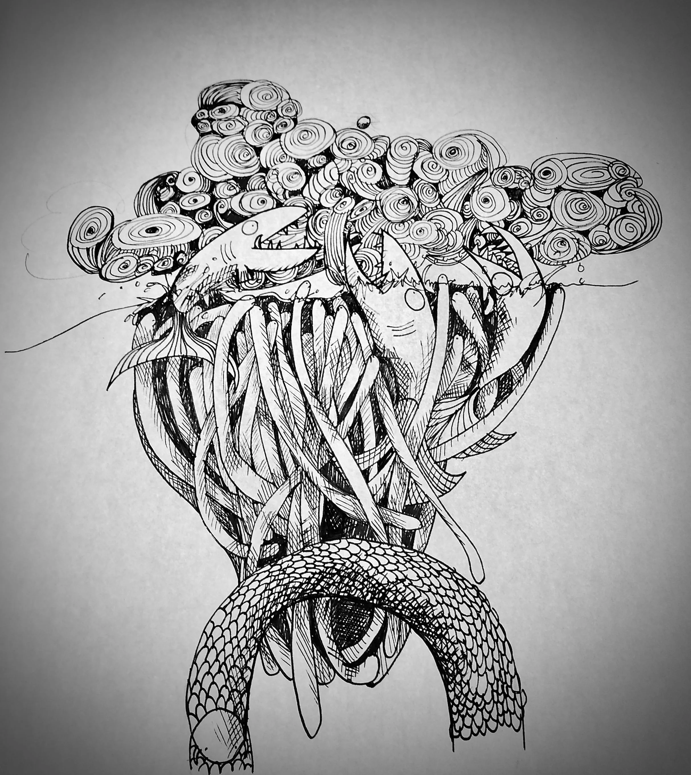Creatures of the deep