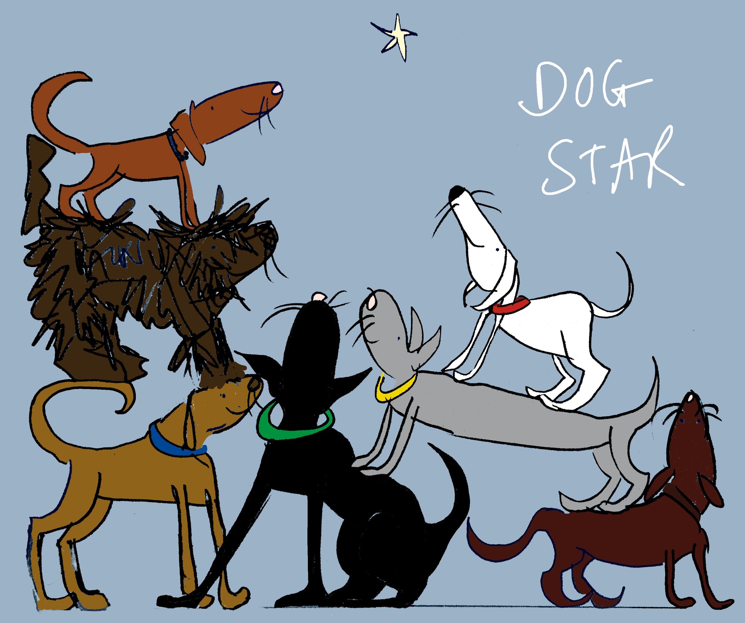 Dog star