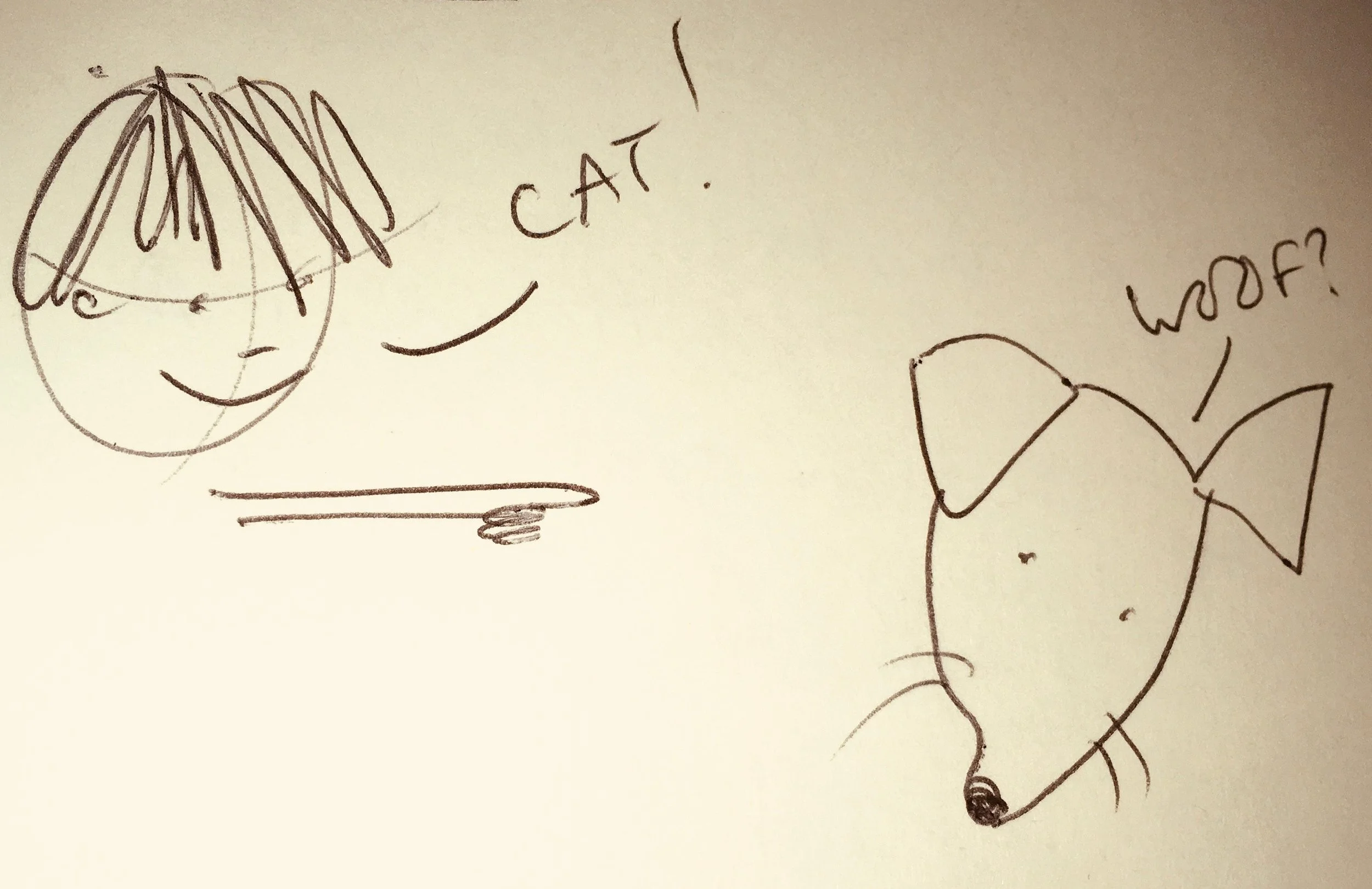 Cat?  Dog?