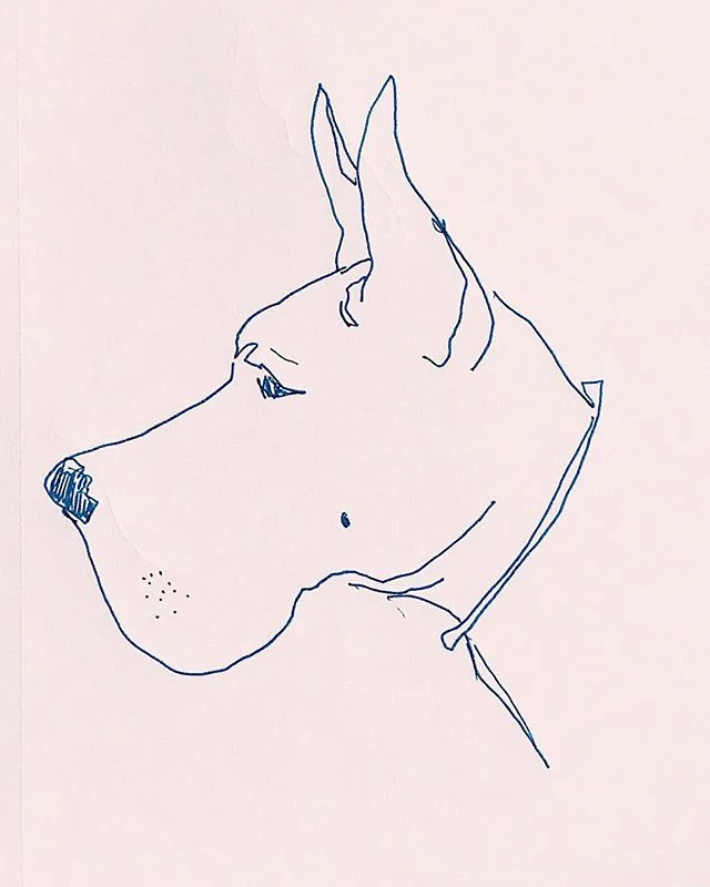 As someone who grew up riding horses, loving dogs and beings outdoors, I have an affinity for tweedy British pursuits &mdash; like dogs shows and horse shows and anything that requires rambling about in the country side slightly overdressed in formal