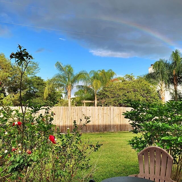 AFK, gone lookin&rsquo; for my pot of gold. #backyardview #rainbow #florida