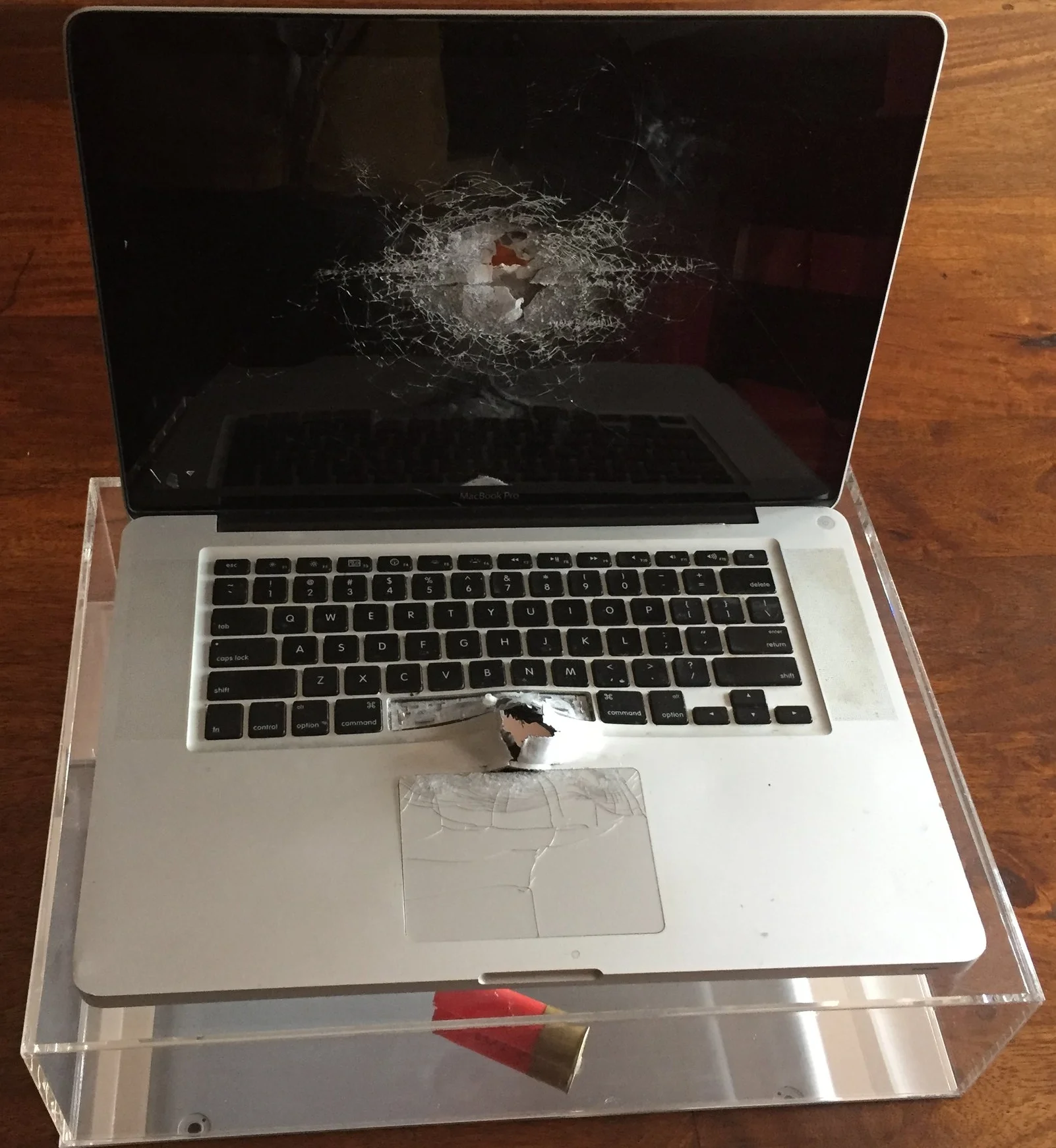 Apfelschuss  (apple-shot ) (Copy)