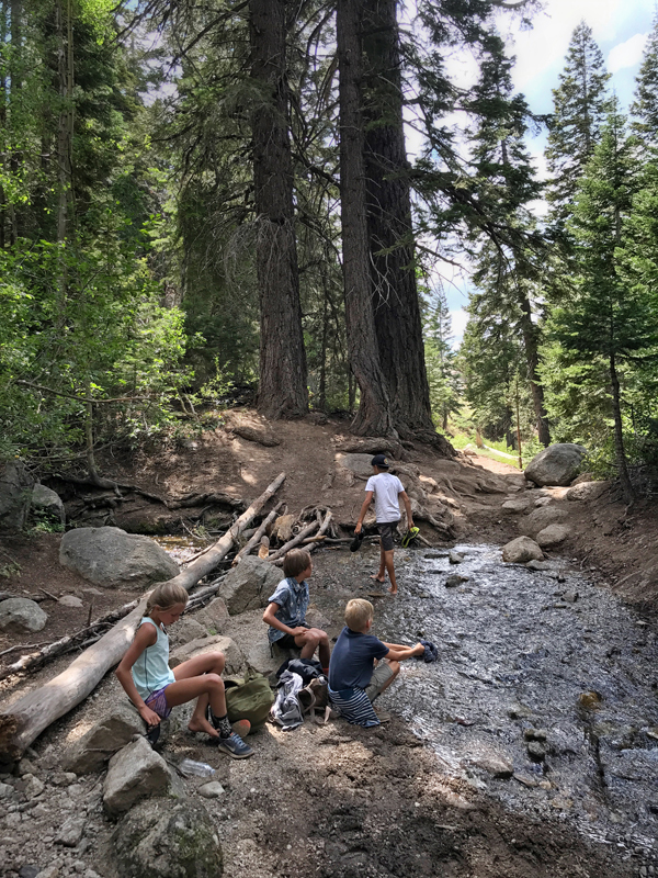 I want to remember this moment forever! This was about mile 12 of an 18 mile hike we had done with these four kids. They've been hiking long distances for a few years now, but this was the longest we took them. Two of the miles were water and marsh, all through a field in the high-elevation sun. Here they are taking a break, washing their feet and putting back on their wet and muddy shoes. Troopers. They inspire me!